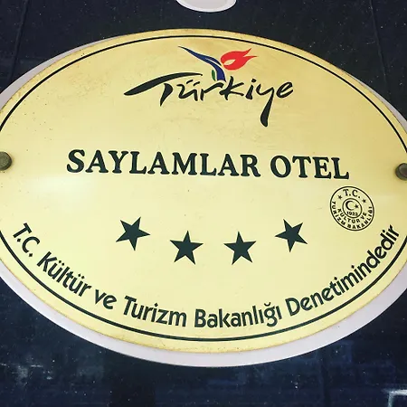 Saylamlar 4*