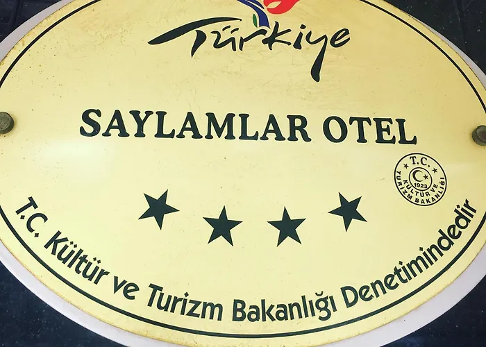 Saylamlar 4*